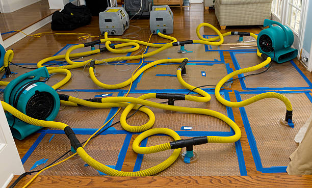Professional Water Damage Repair technician working in Menlo Park, CA